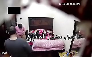 arabian orginal